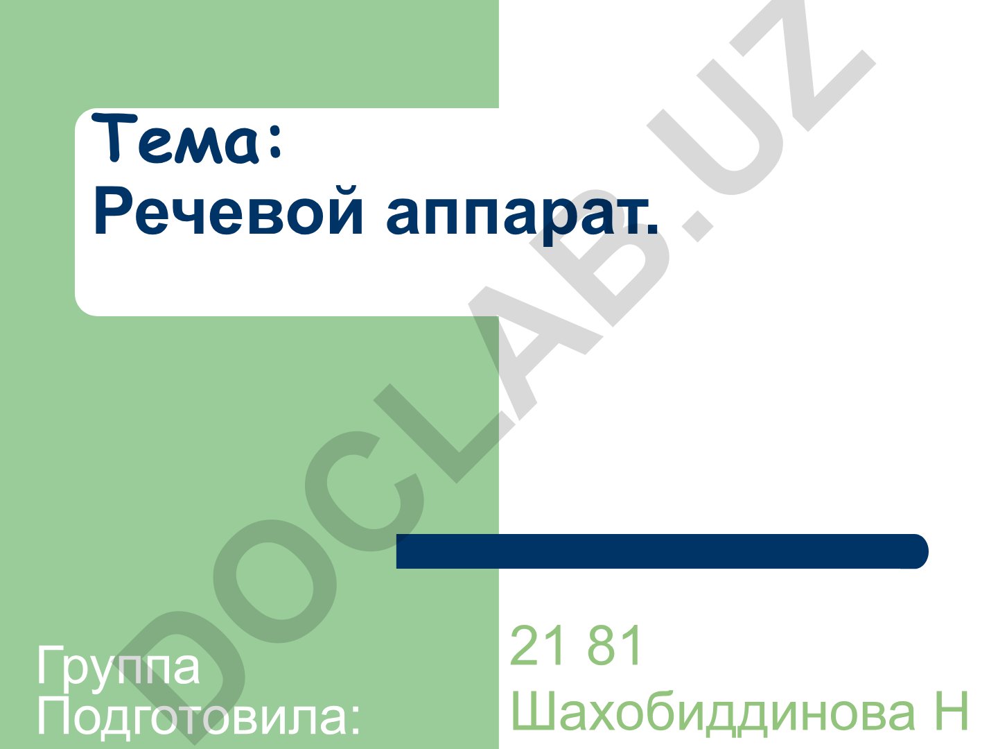 Речевой аппарат: строение, органы и функции
