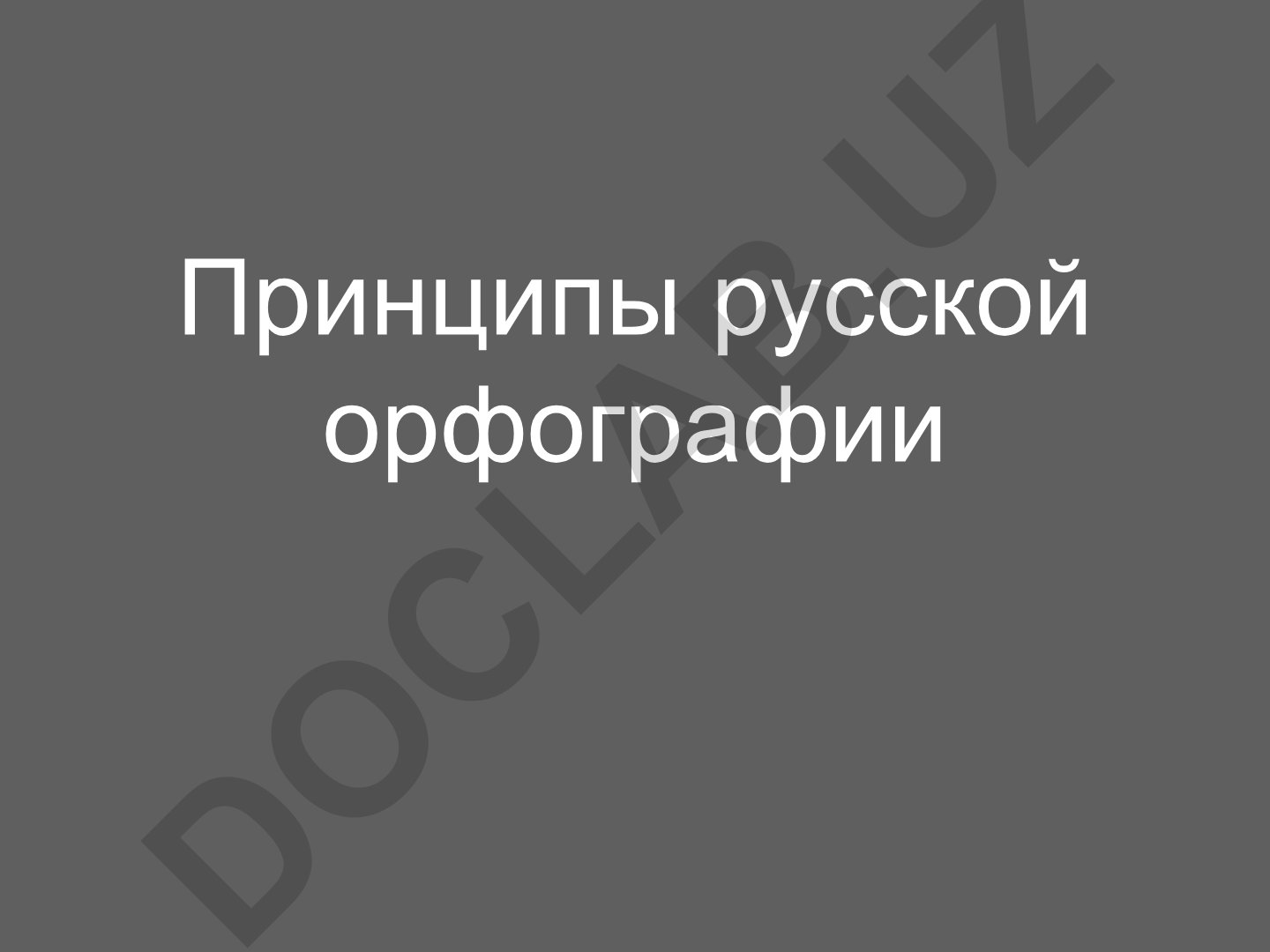 Принципы русской орфографии