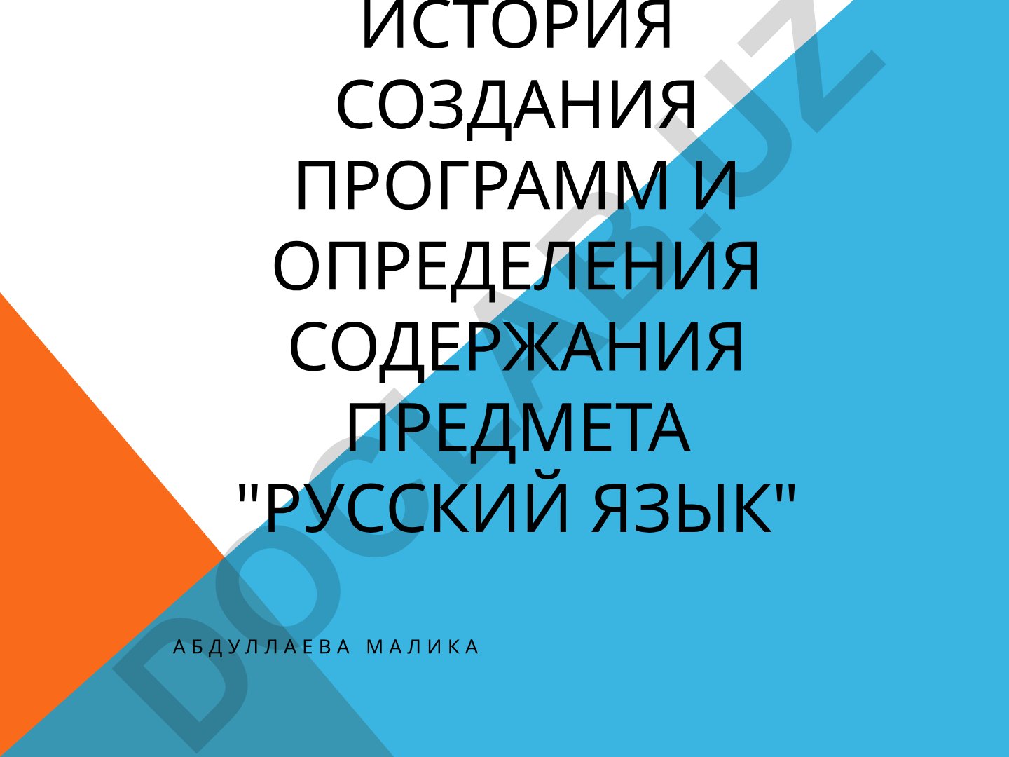 История создания программ и определения содержания предмета "Русский язык"
