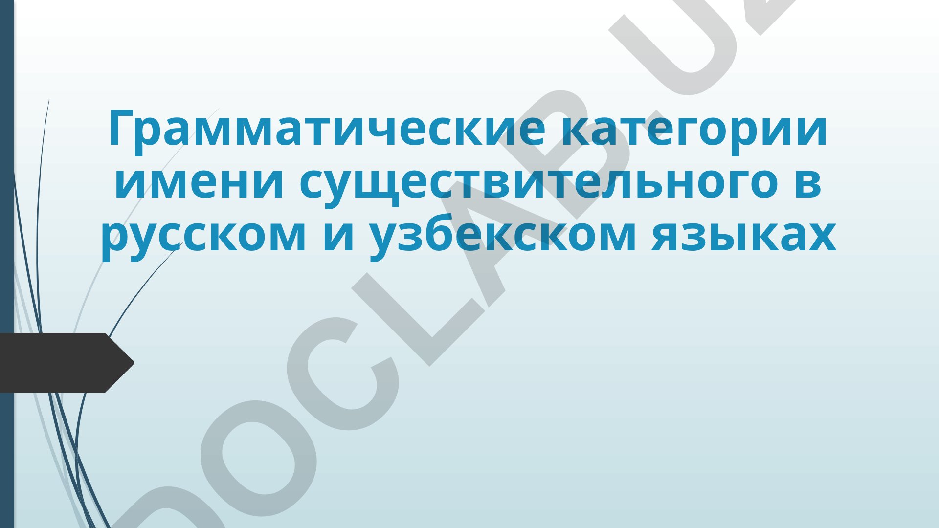Грамматические категории имени существительного в русском и узбекском языках