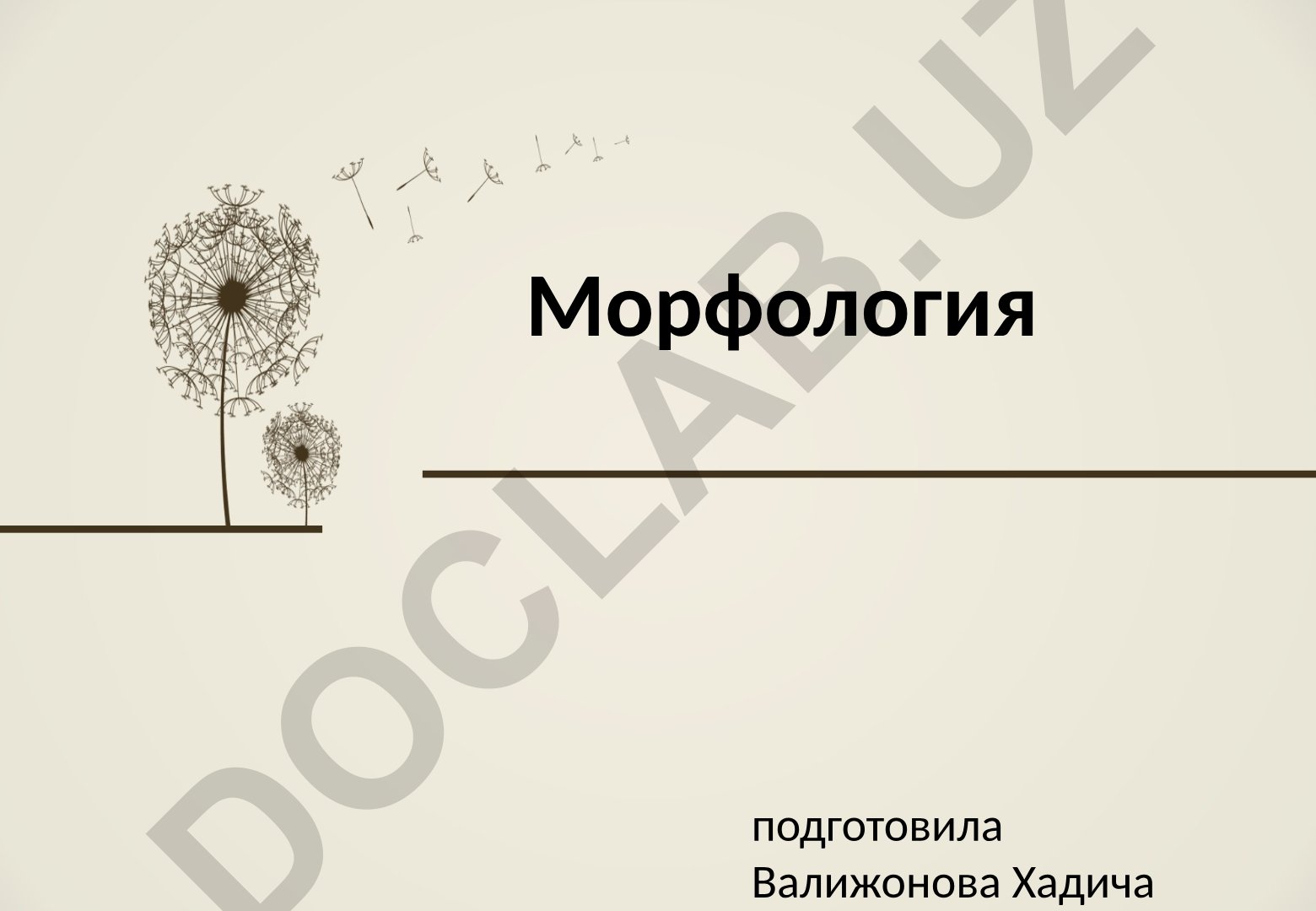 Морфология как раздел грамматики