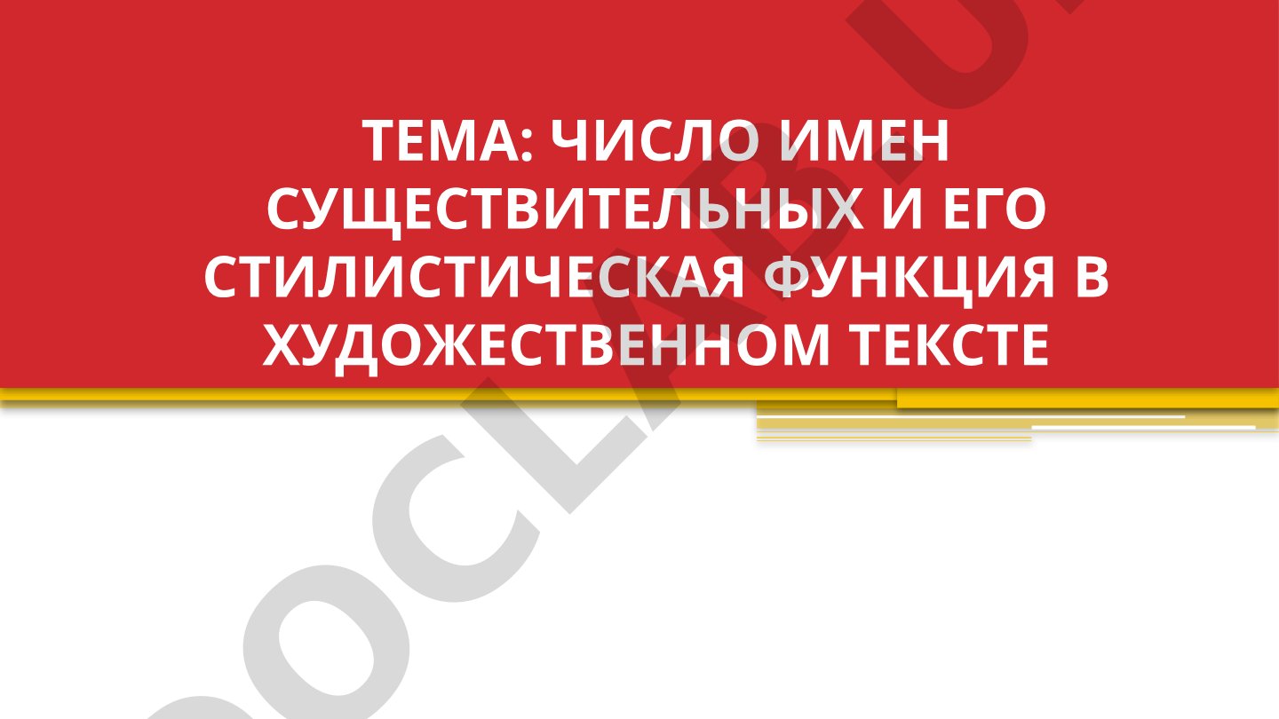 Число имен существительных и его стилистическая функция в художественном тексте