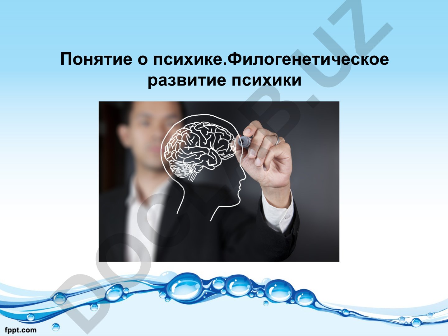 Понятие о психике и филогенетическое развитие психики