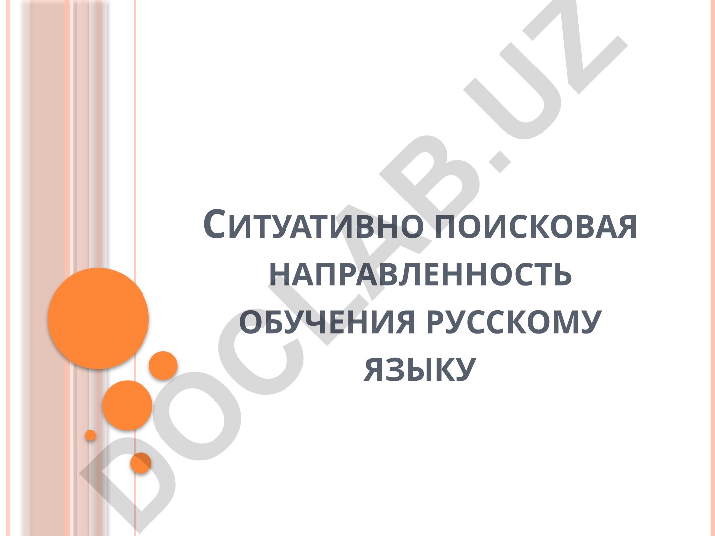 Ситуативно поисковая направленность обучения русскому языку