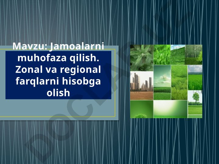 Jamoalarni muhofaza qilish. Zonal va regional farqlarni hisobga olish