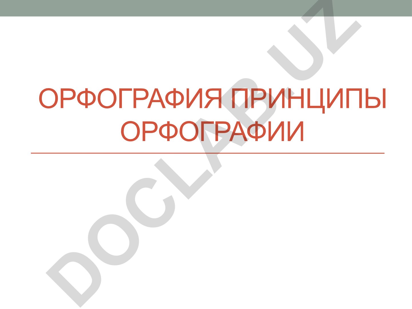 Русская орфография: принципы и правила написания слов