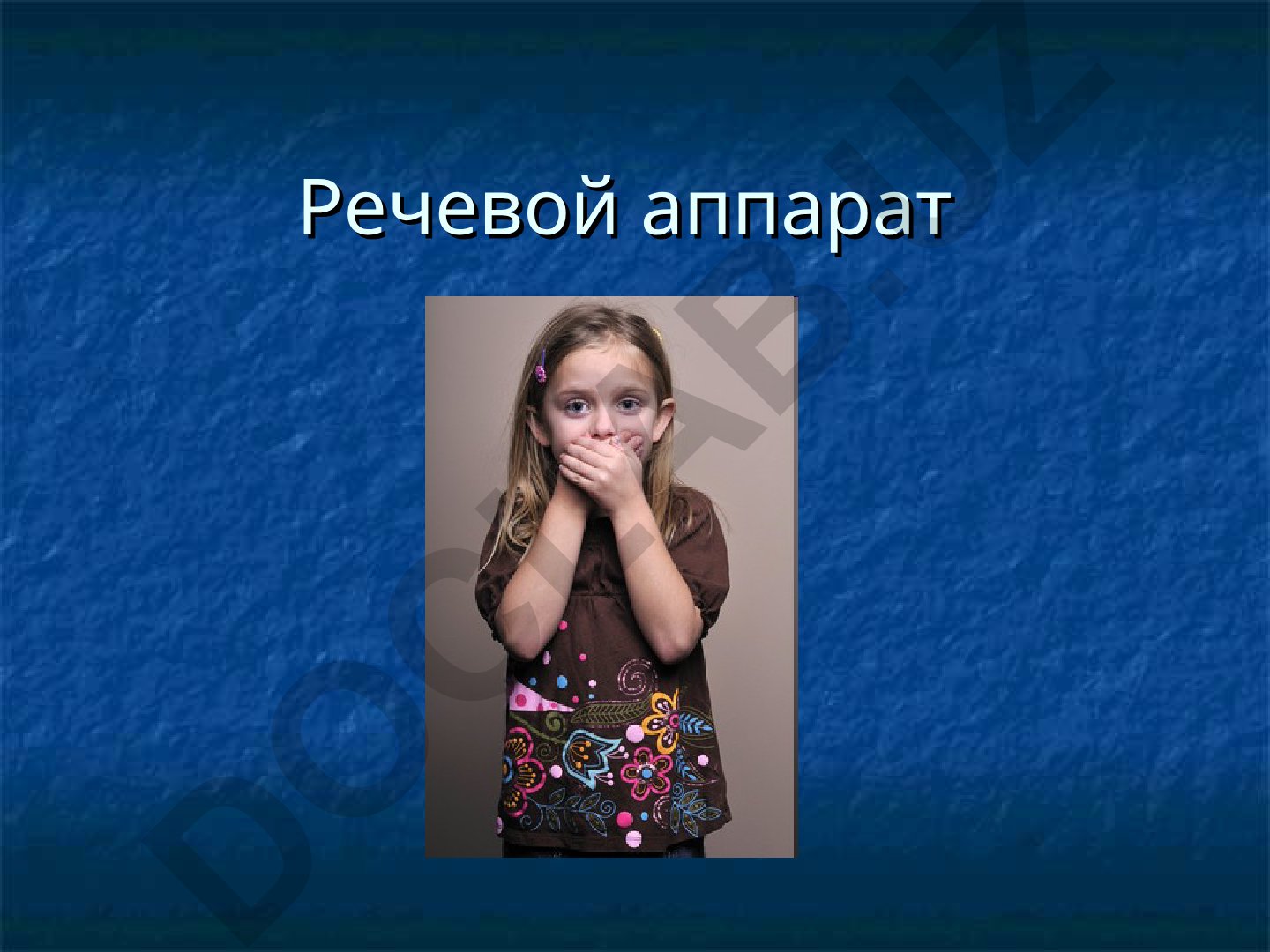 Речевой аппарат: строение и функционирование