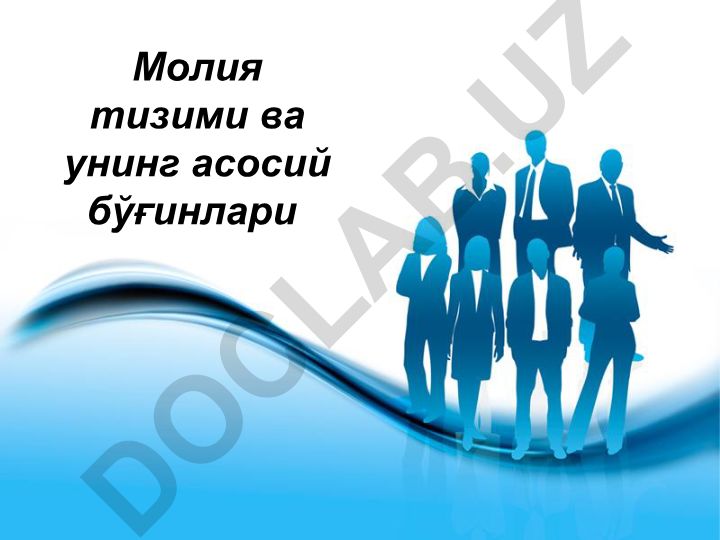 Молия тизими ва унинг асосий бўғинлари