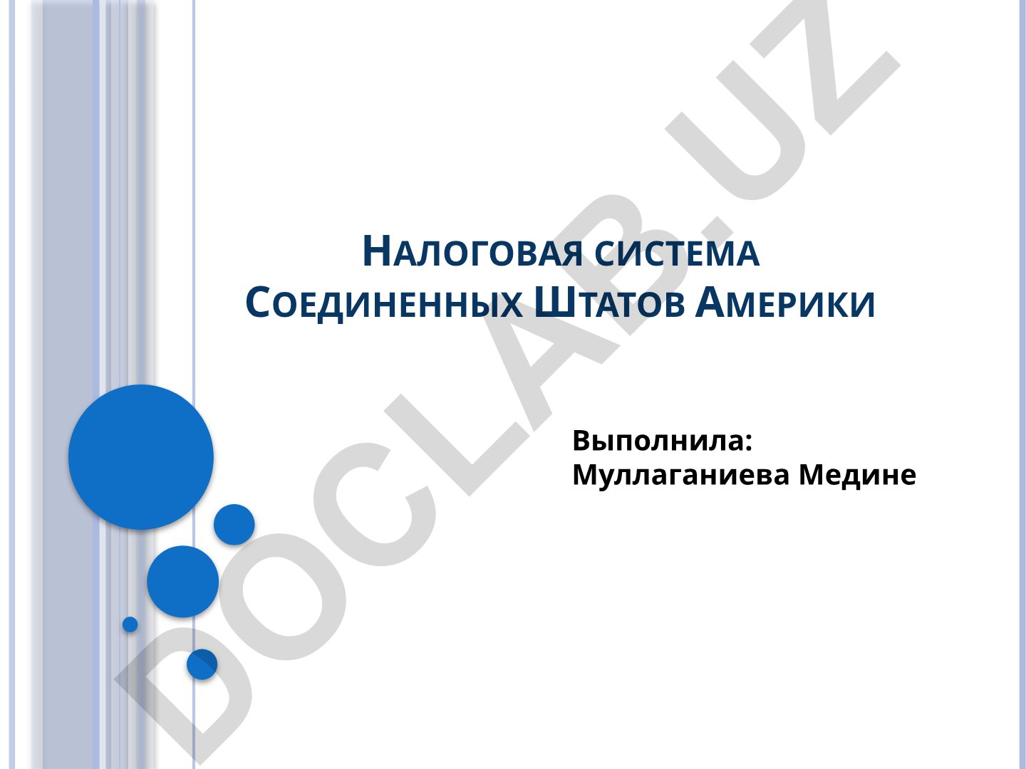 Налоговая система Соединенных Штатов Америки