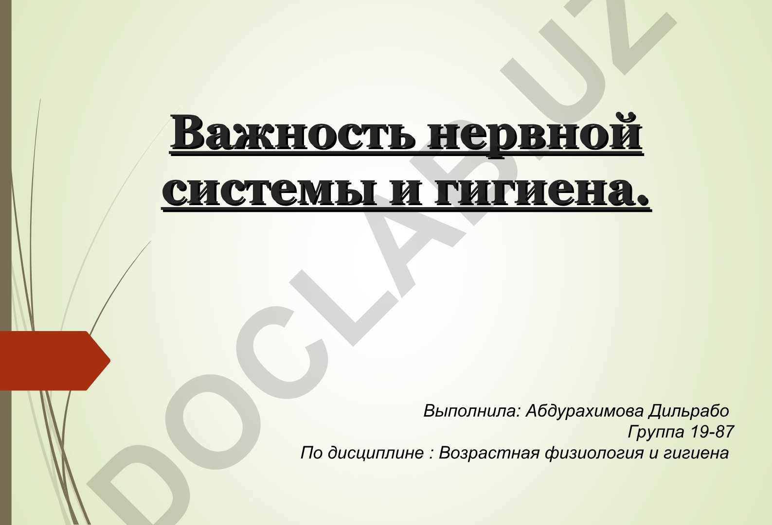 Важность нервной системы и гигиена