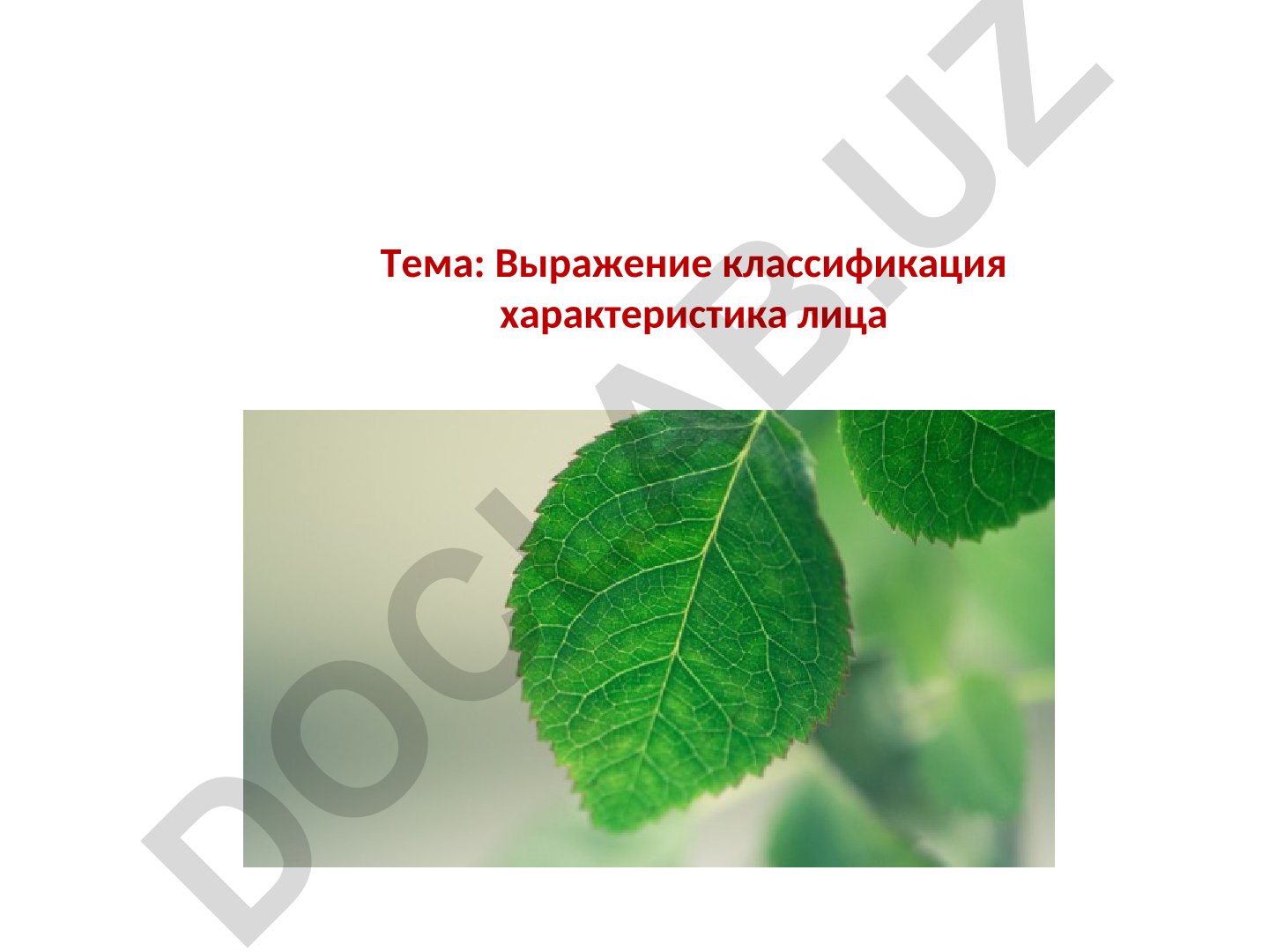Выражение классификация характеристика лица Лист - один из основных органов растений