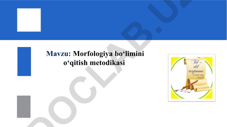 Morfologiya bo‘limini o‘qitish metodikasi