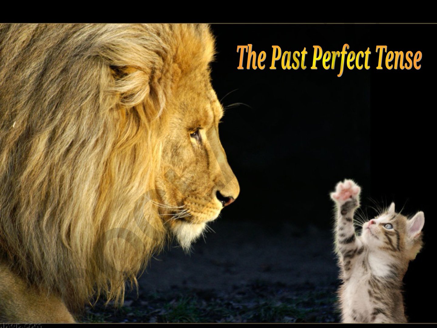 Past Perfect Tense qo'llanilishi va misollar