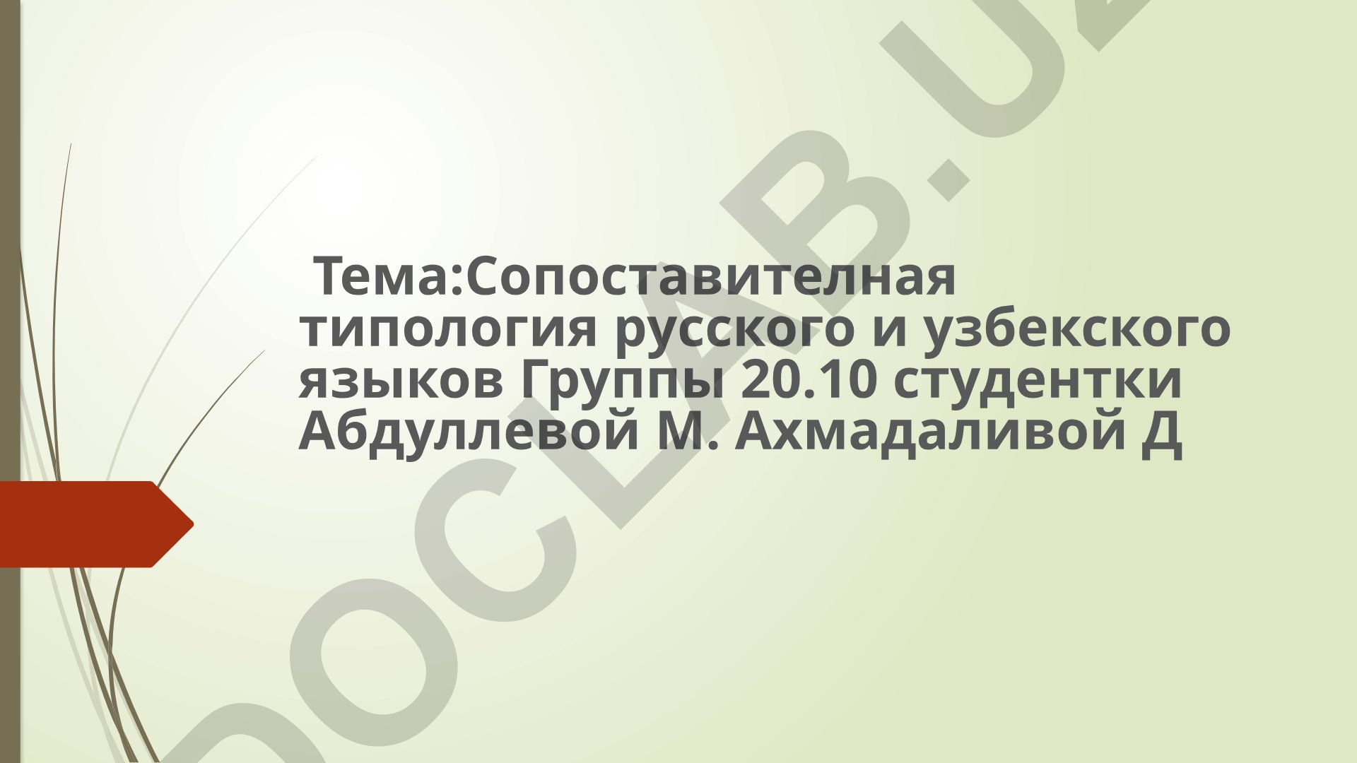 Сопоставительная типология русского и узбекского языков