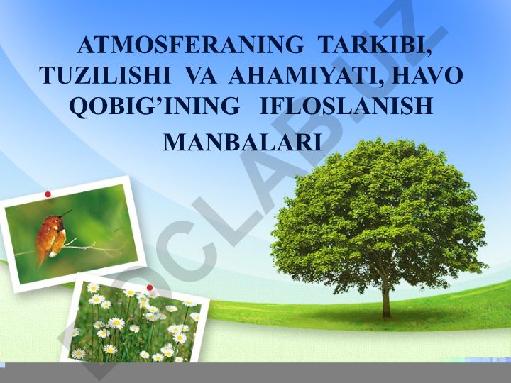 Atmosferaning tarkibi, tuzilishi va ahamiyati, havo qobig'ining ifloslanish manbalari