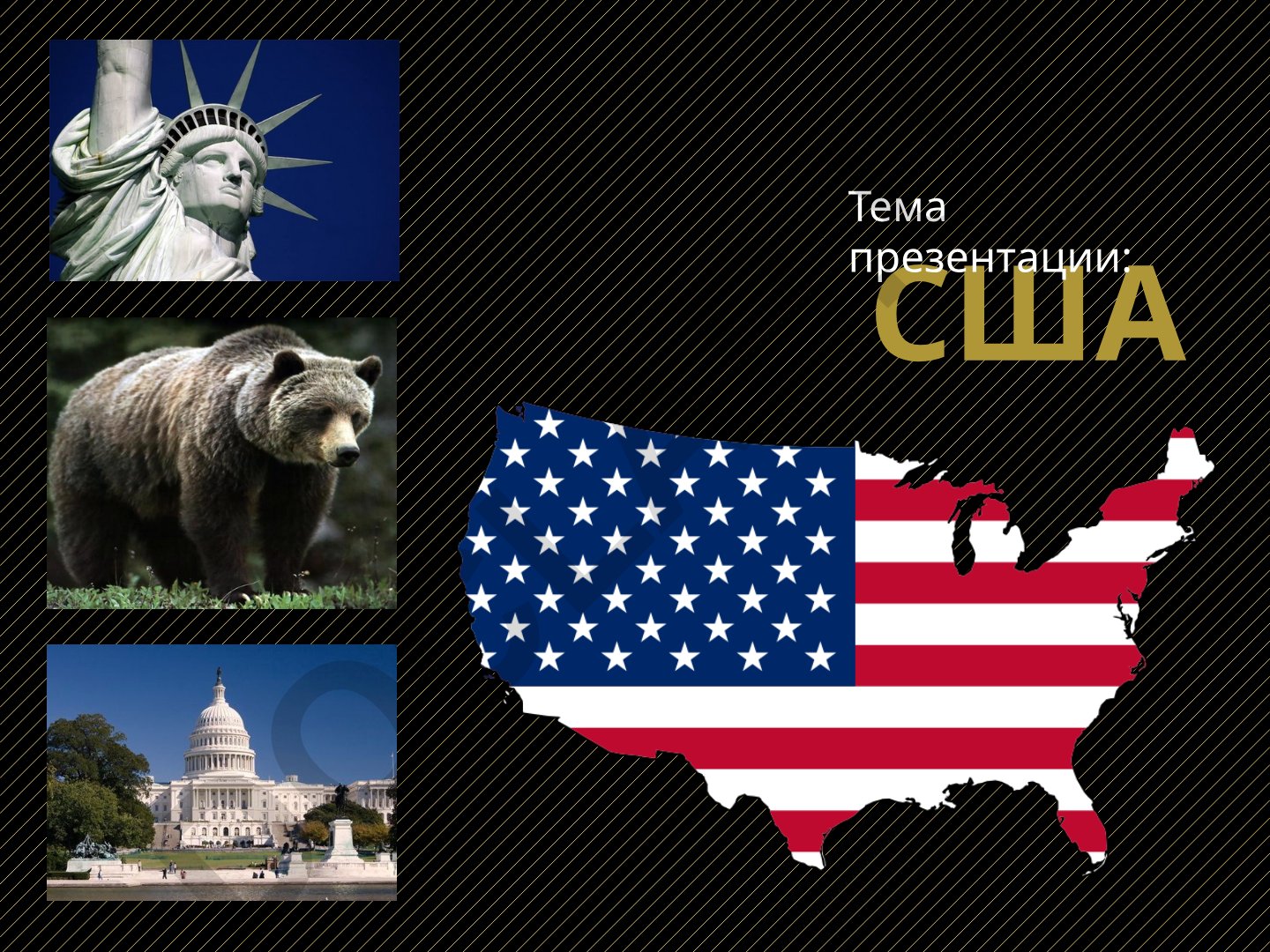 About the country: The United States of America