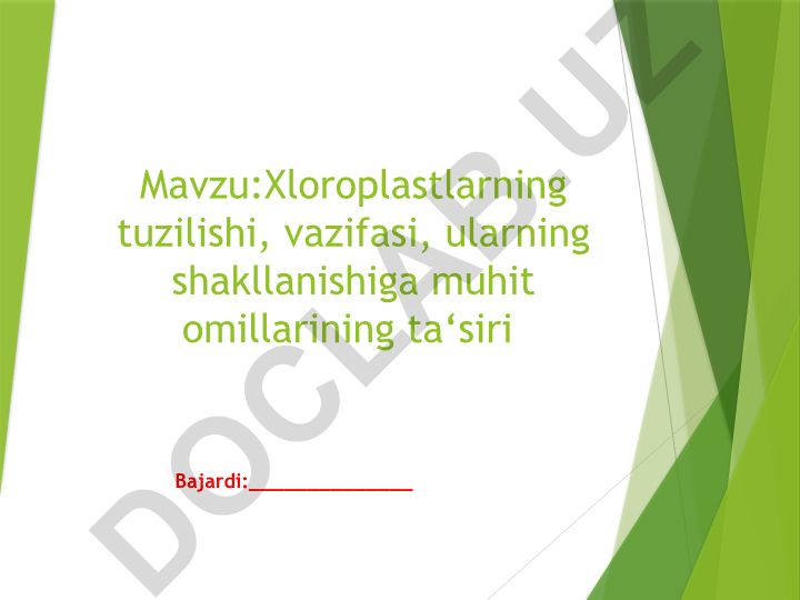 Xloroplastlarning tuzilishi, vazifasi, ularning shakllanishiga muhit omillarining ta‘siri