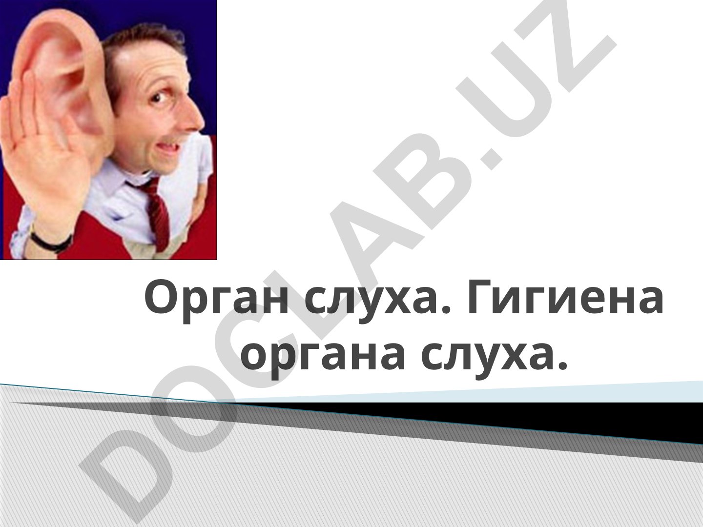 Орган слуха и гигиена органа слуха