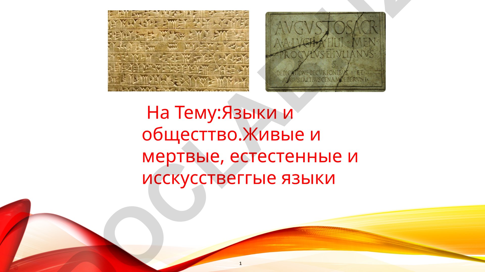 Языки и общество. Живые и мертвые, естественные и искусственные языки