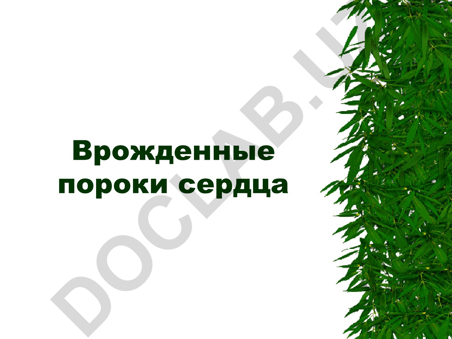 Врожденные пороки сердца: основные понятия и классификация