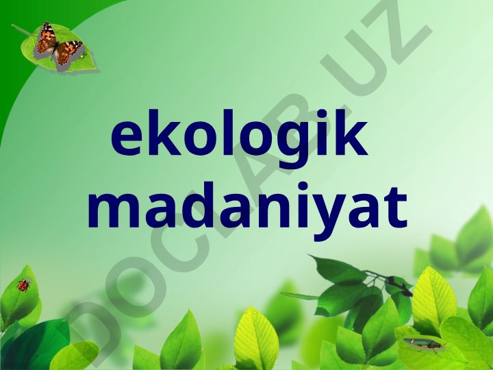 Ekologik madaniyatning ahamiyati va tabiatni muhofaza qilish