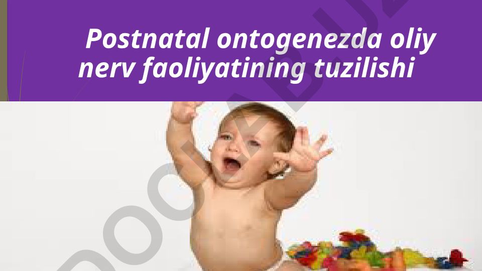 Postnatal ontogenezda oliy nerv faoliyatining tuzilishi