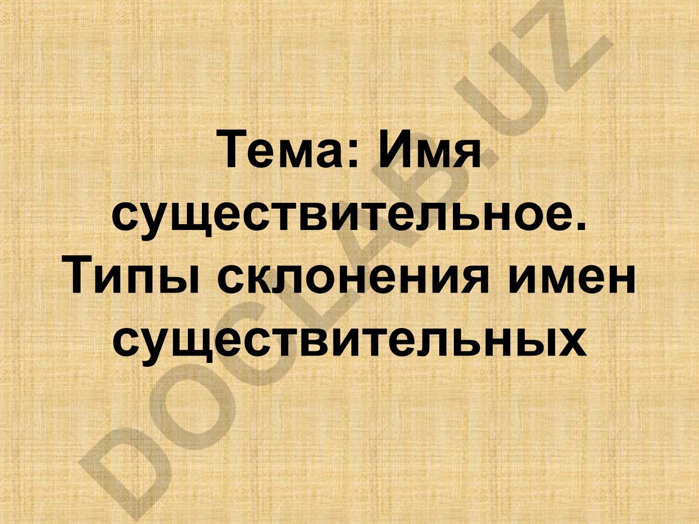 Имя существительное. Типы склонения имен существительных