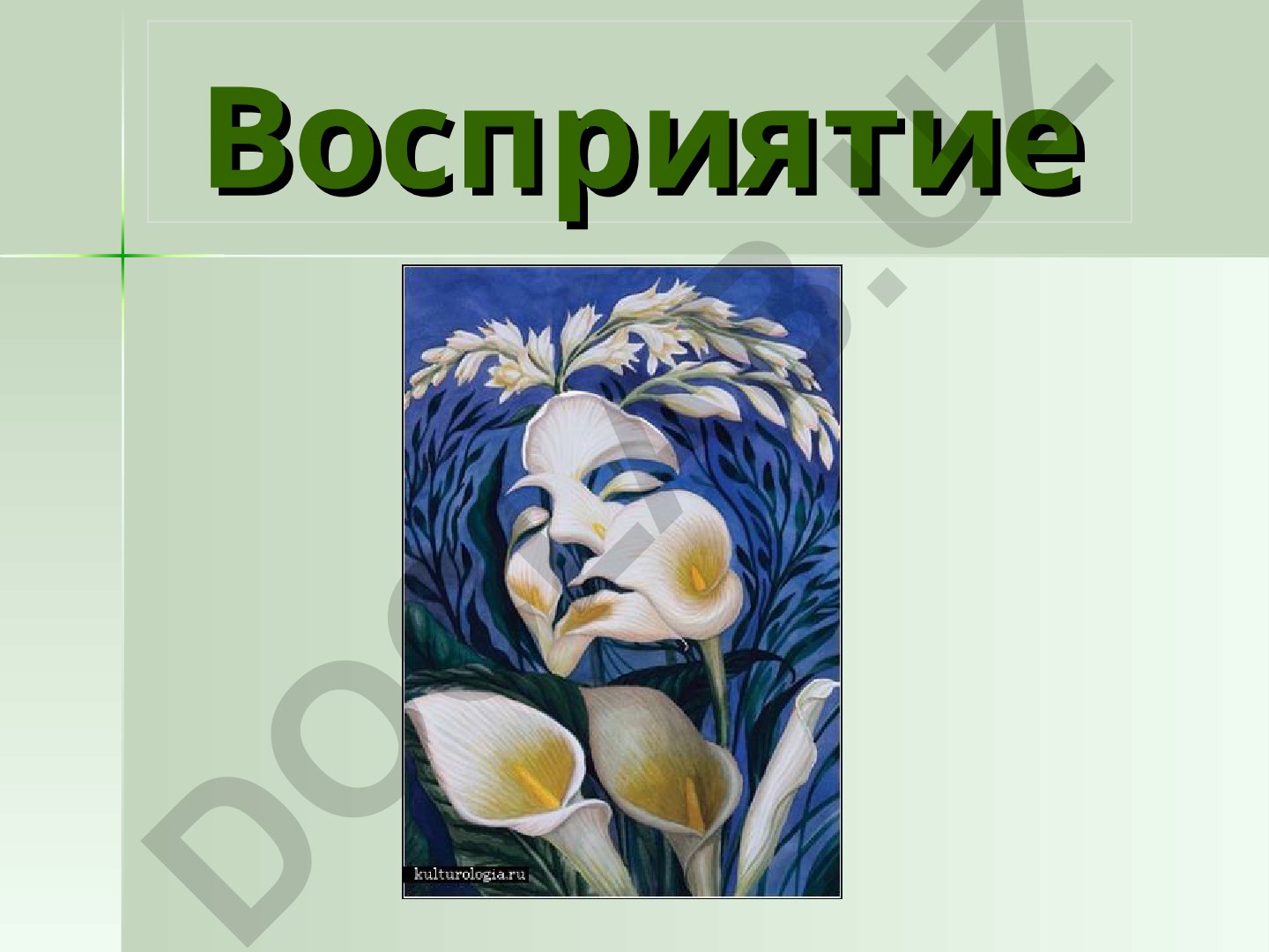 Восприятие: общая характеристика, виды, свойства и нарушения