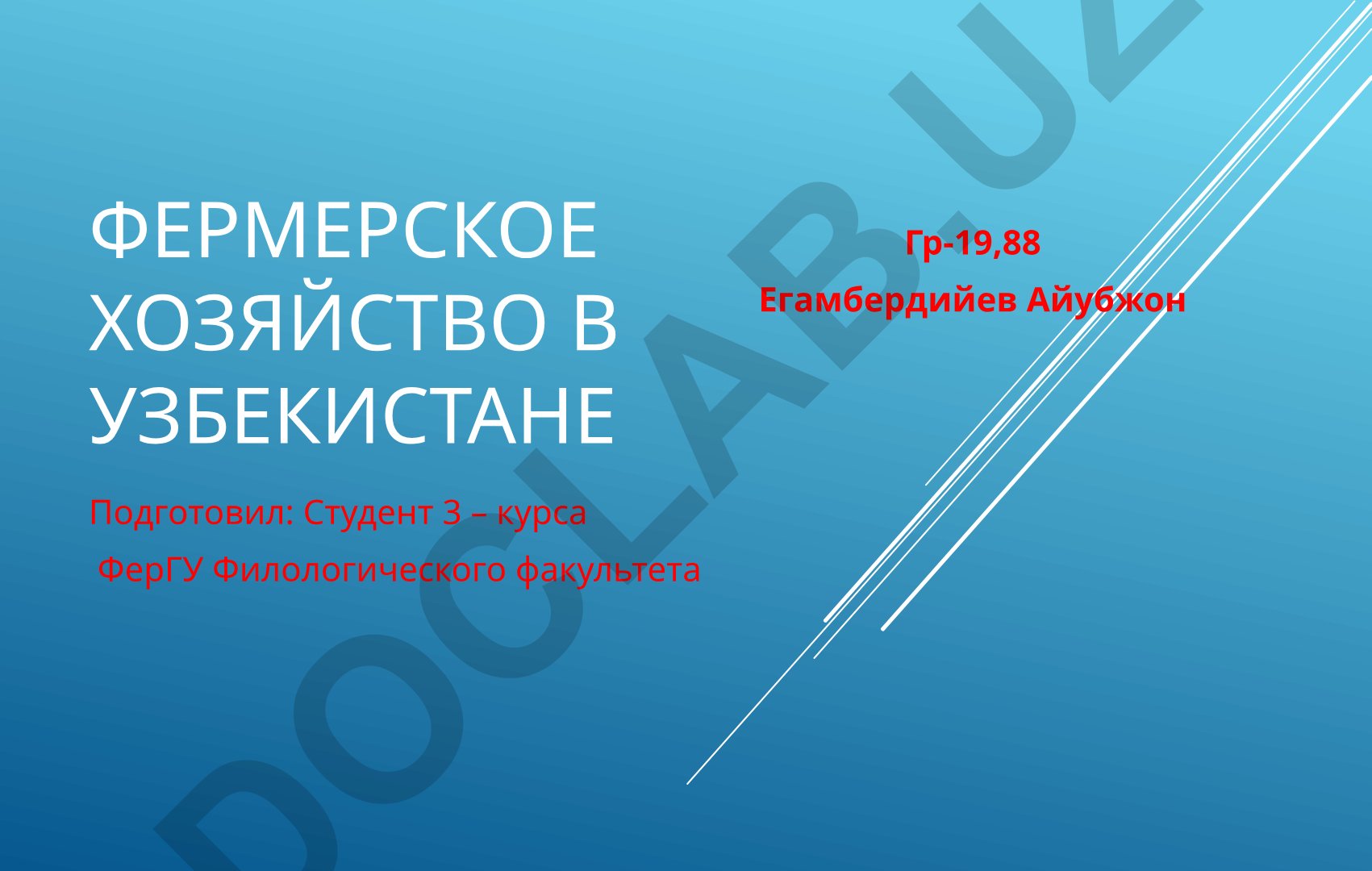 Фермерское хозяйство в Узбекистане