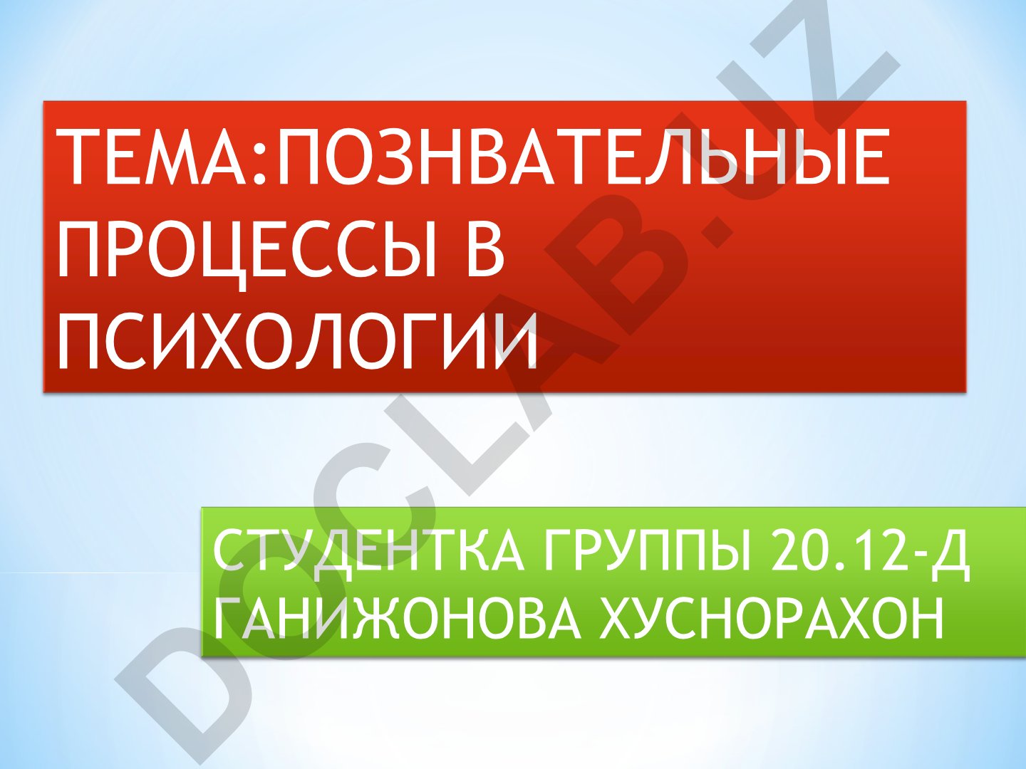 Познавательные процессы в психологии
