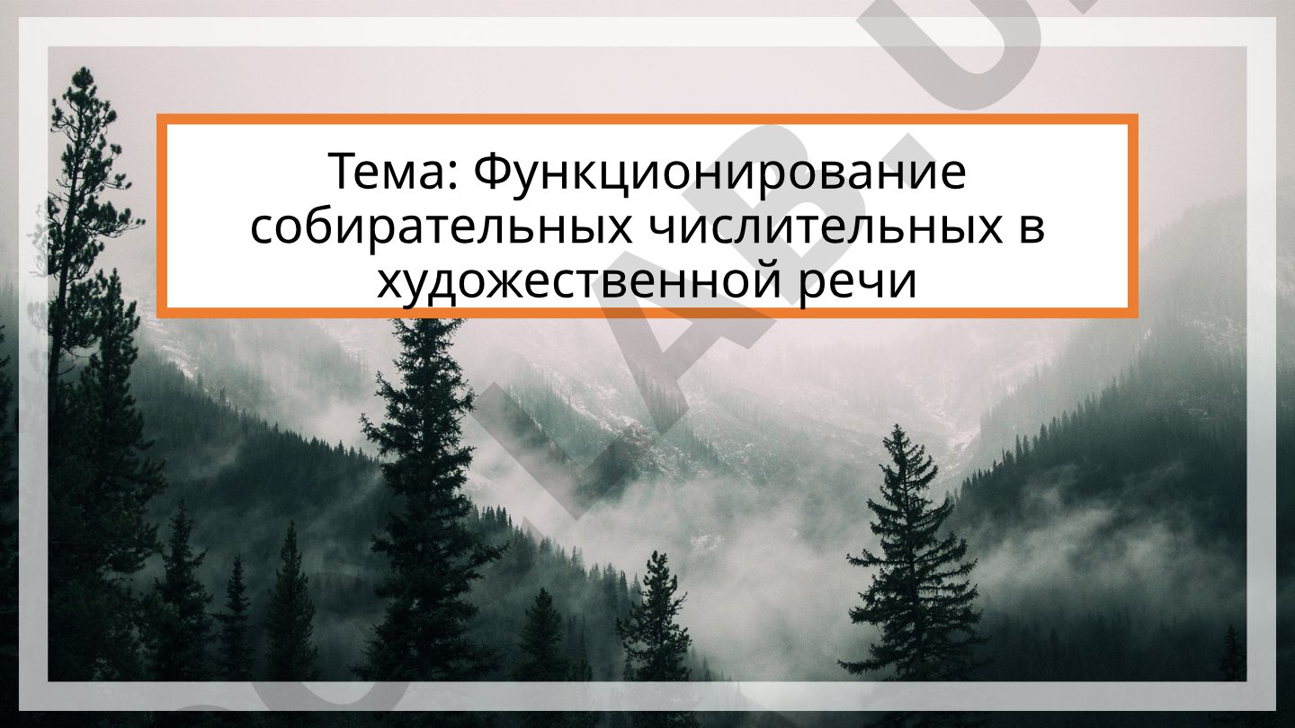 Функционирование собирательных числительных в художественной речи