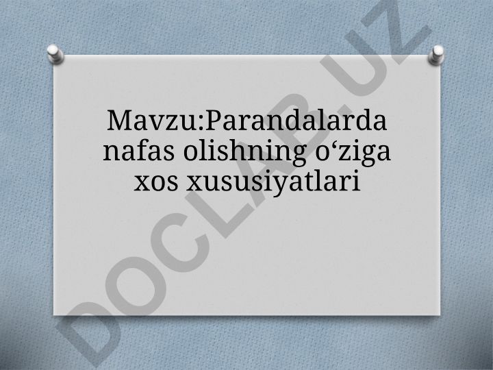 Parandalarda nafas olishning oʻziga xos xususiyatlari