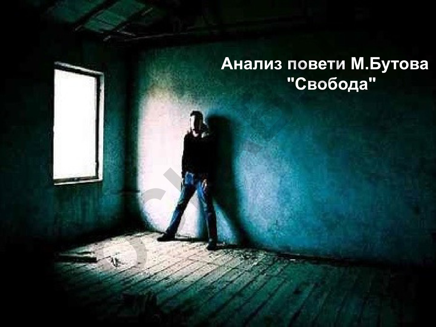 Анализ повести М. Бутова «Свобода»