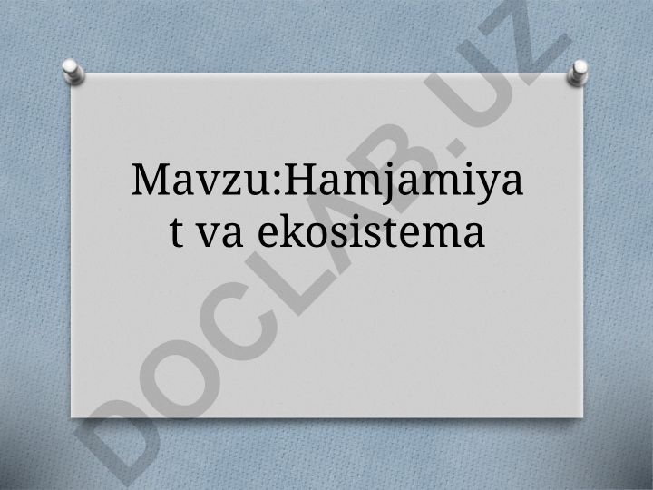 Hamjamiyat va ekosistema Ekosistemaning maҳsuldorligi