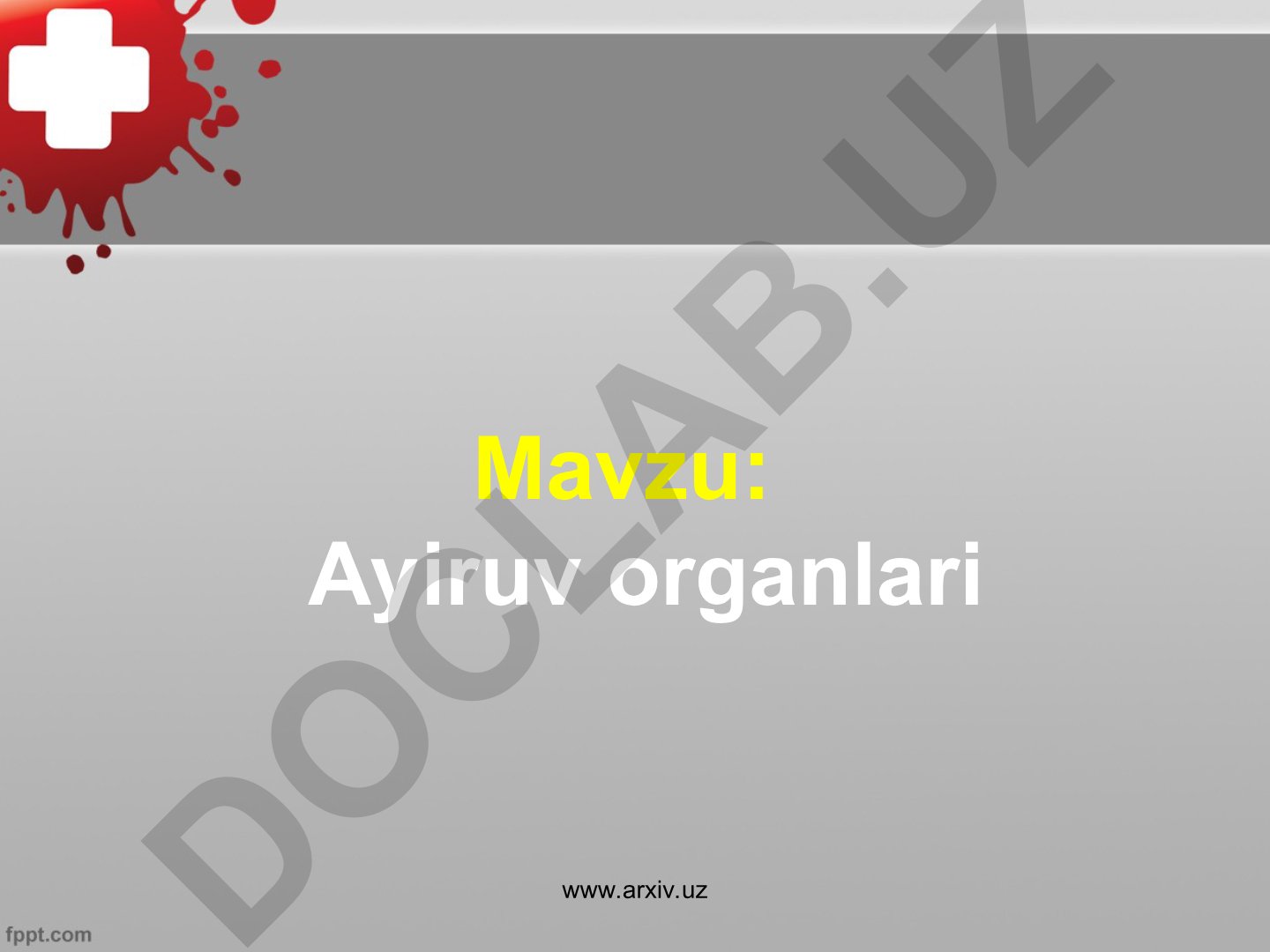 Ayiruv organlari