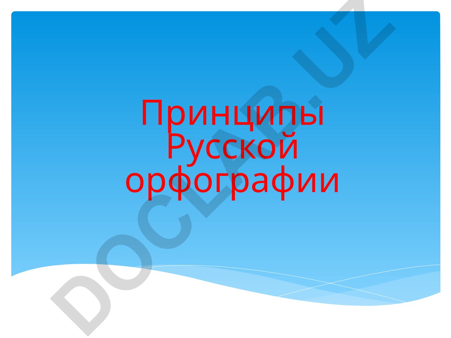 Принципы Русской орфографии
