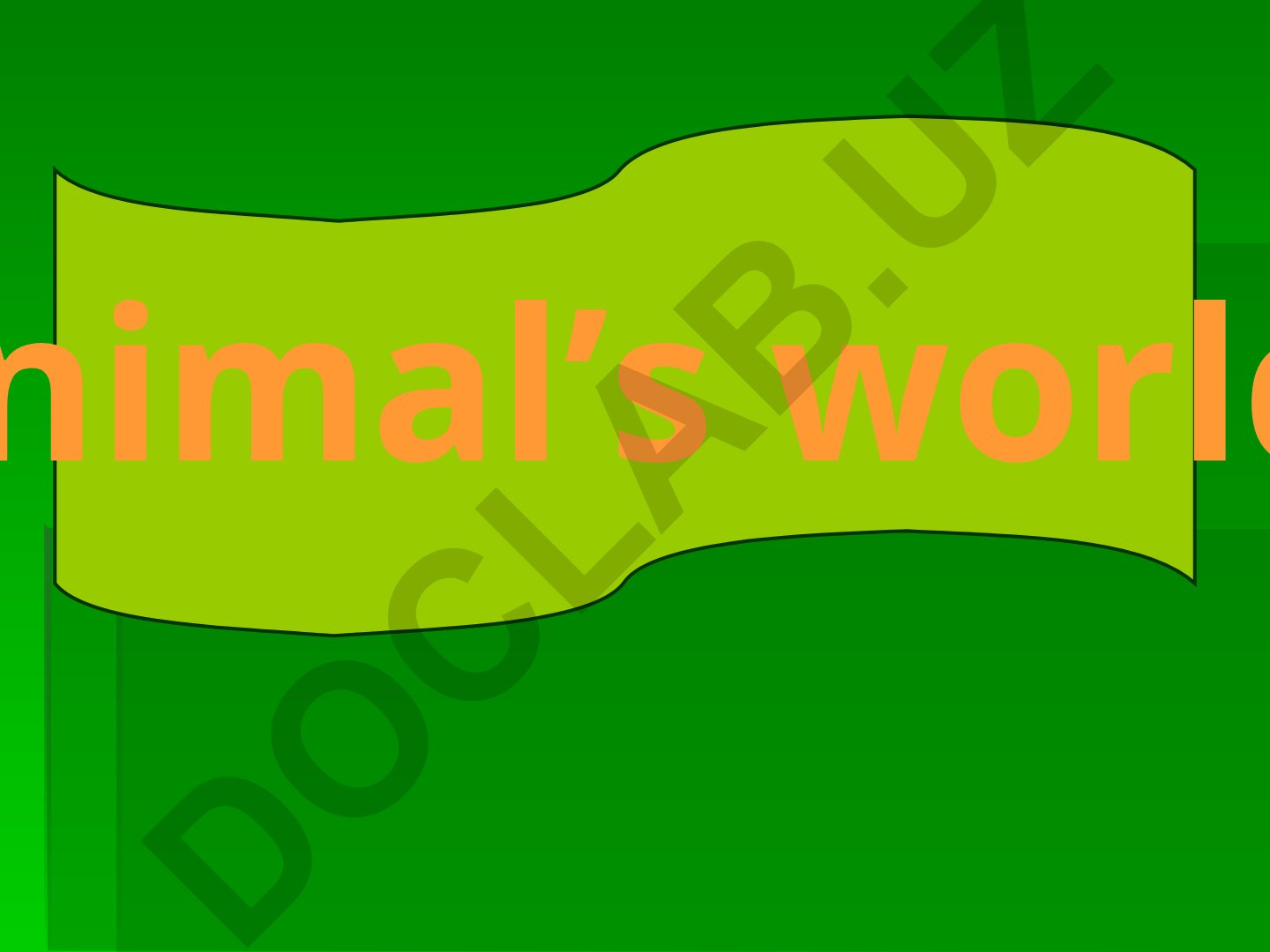 Animals and their characteristics