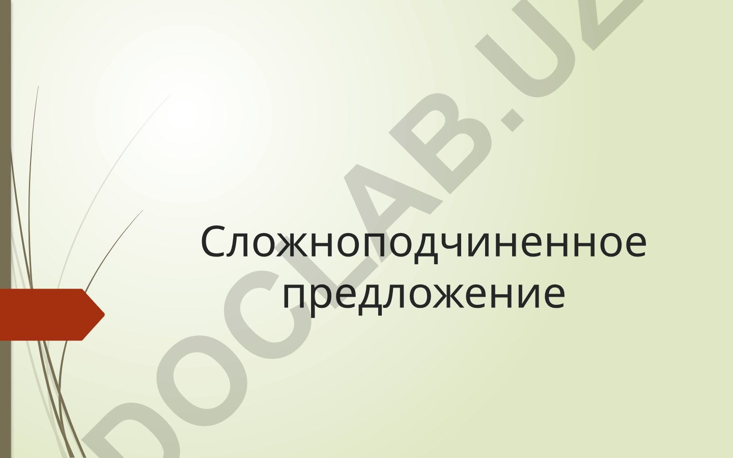 Сложноподчинённое предложение: общая характеристика и структура