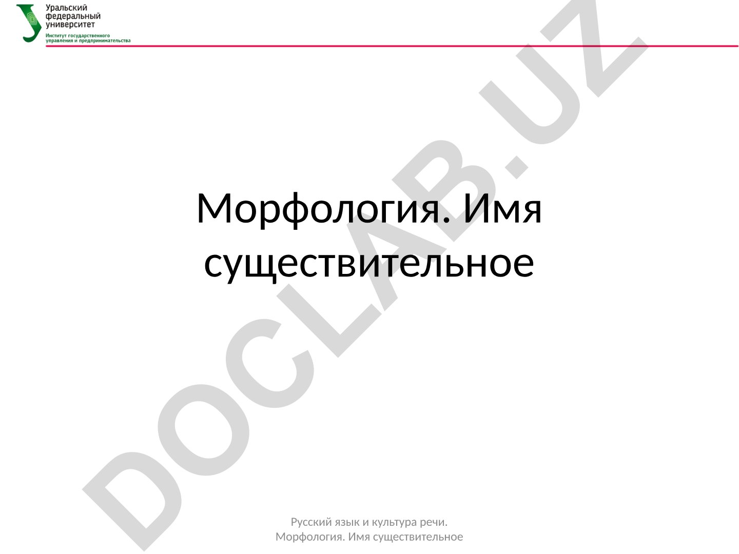 Морфология имени существительного в русском языке