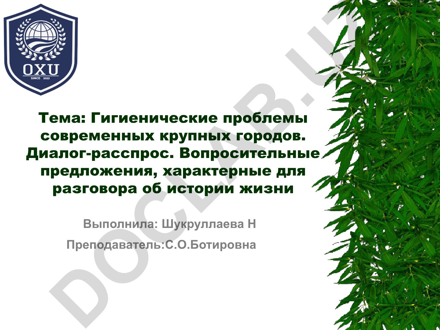 Гигиенические проблемы современных крупных городов. Диалог-расспрос. Вопросительные предложения
