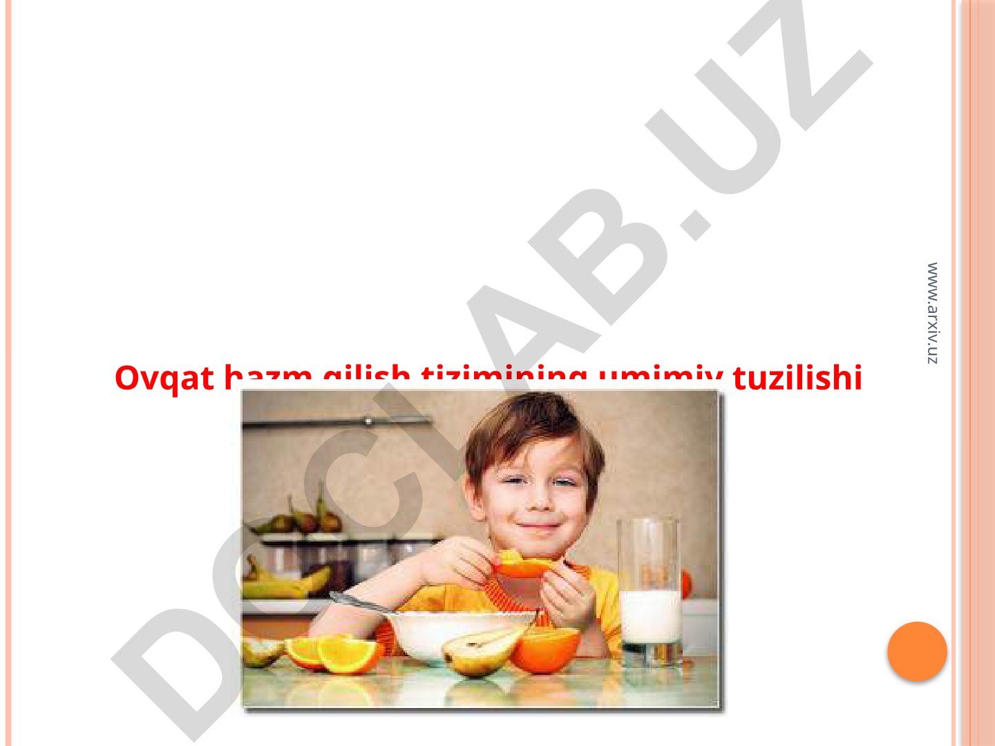 Ovqat hazm qilish tizimining umumiy tuzilishi va yosh xususiyatlari