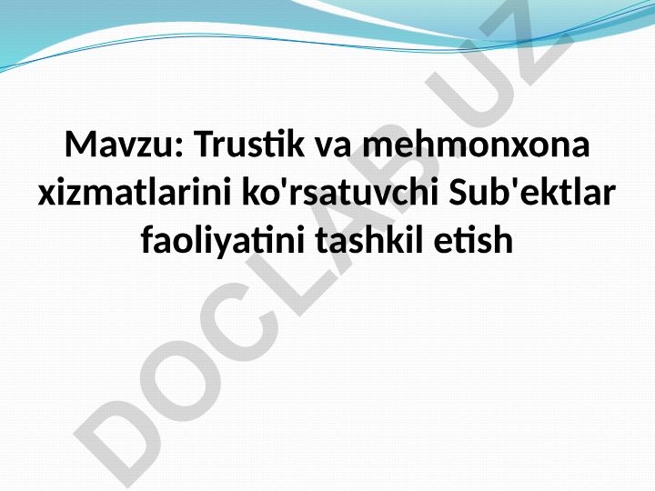 Turistik va mehmonxona xizmatlarini ko'rsatuvchi Sub'ektlar faoliyatini tashkil etish