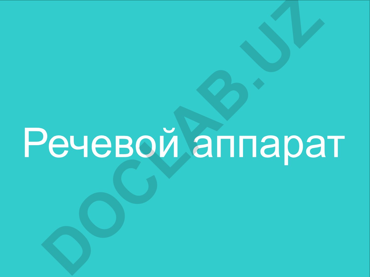 Речевой аппарат: строение, органы и функции