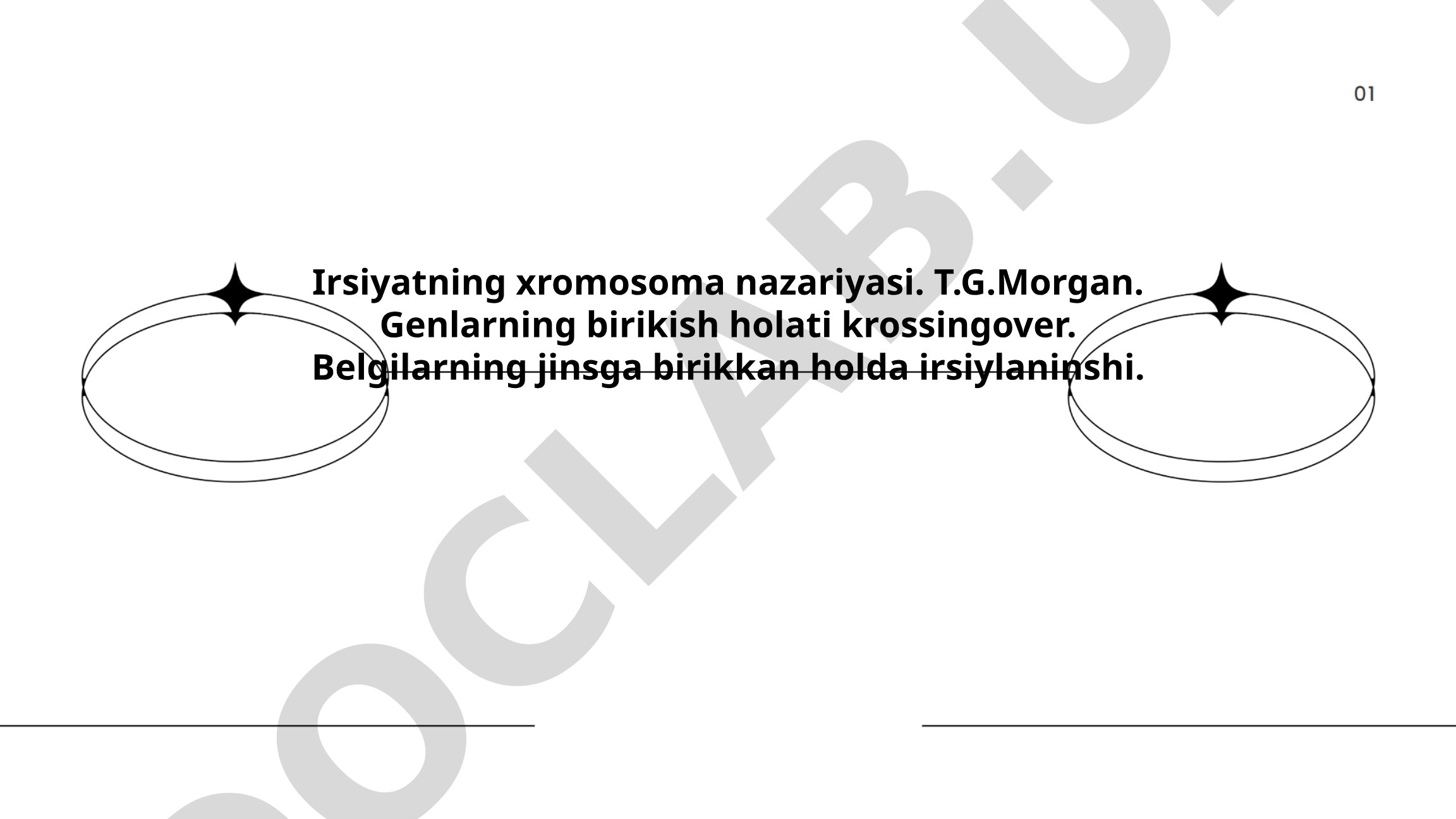Irsiyatning xromosoma nazariyasi