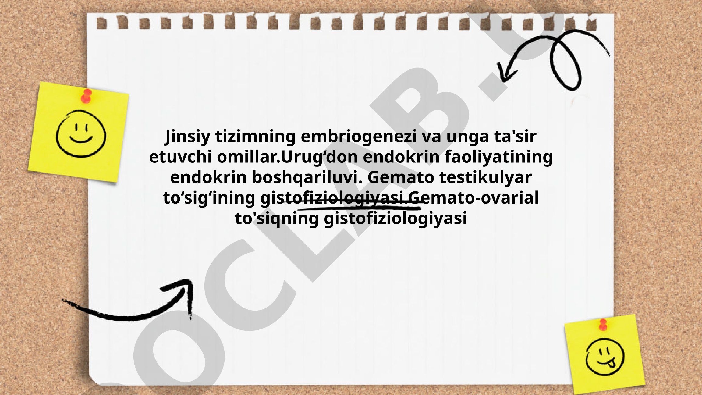 Jinsiy tizimning embriogenezi va unga ta'sir etuvchi omillar
