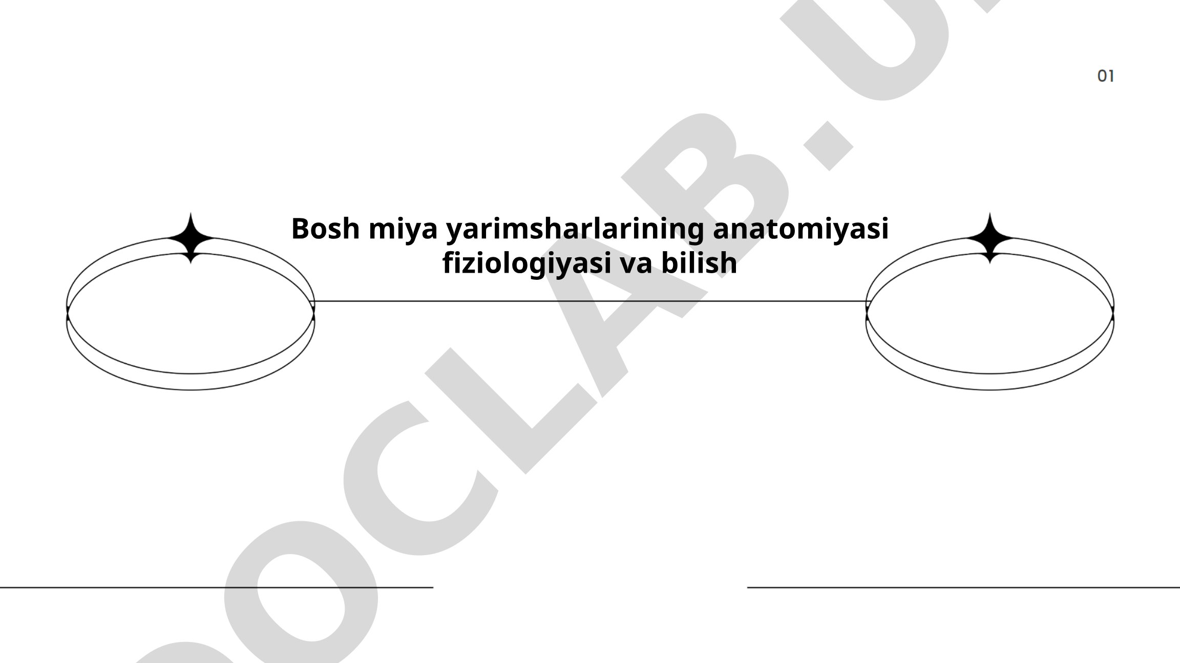 Bosh miya yarimsharlarining anatomiyasi fiziologiyasi va bilish