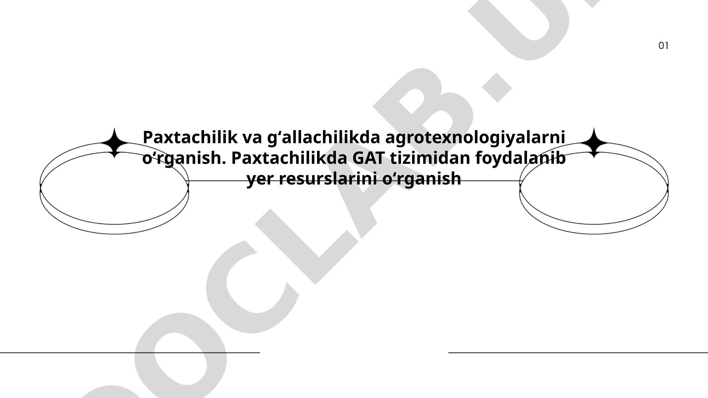 Paxtachilik va gʻallachilikda agrotexnologiyalarni oʻrganish