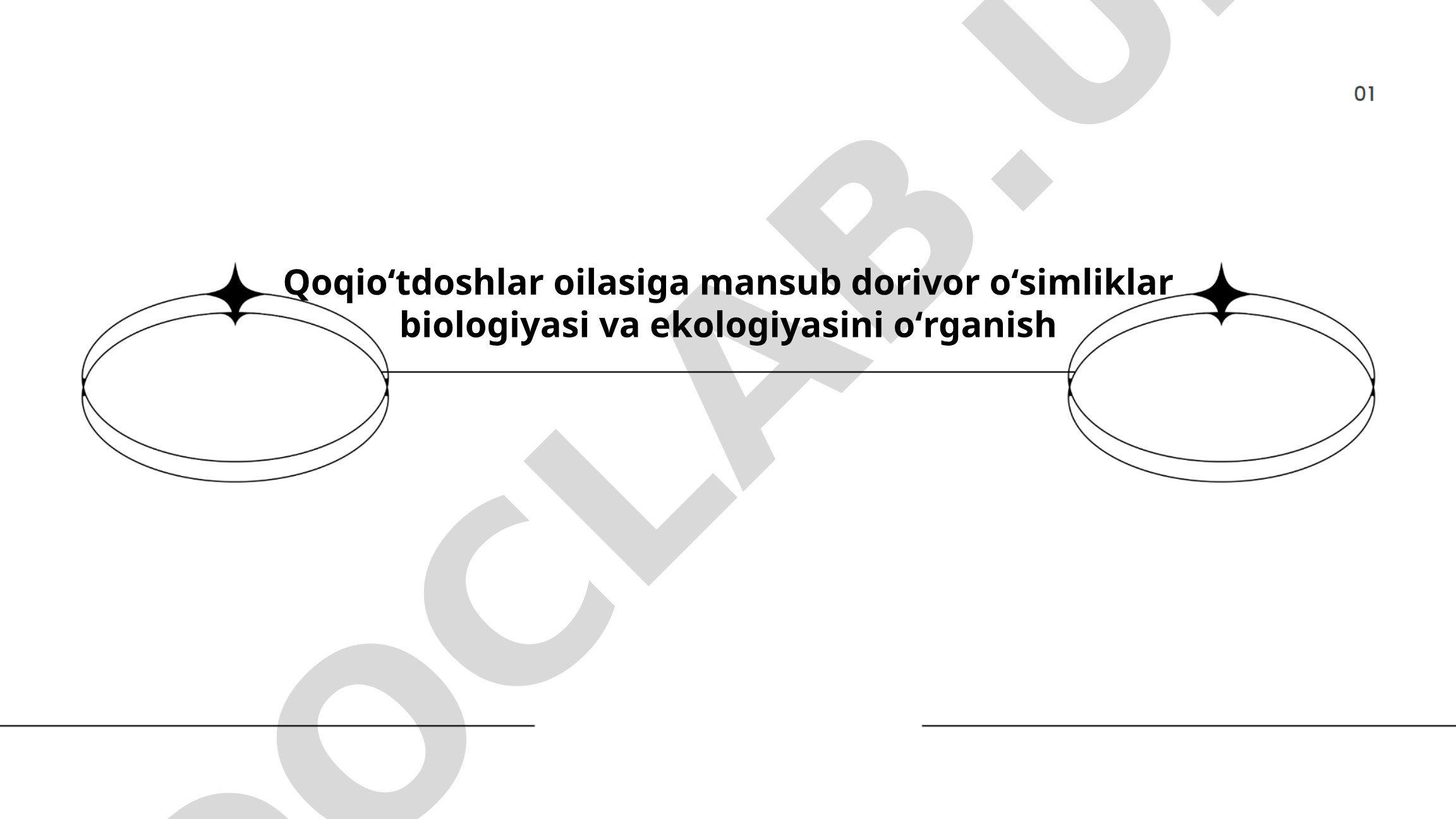 Qoqioʻtdoshlar oilasiga mansub dorivor oʻsimliklar biologiyasi va ekologiyasini oʻrganish