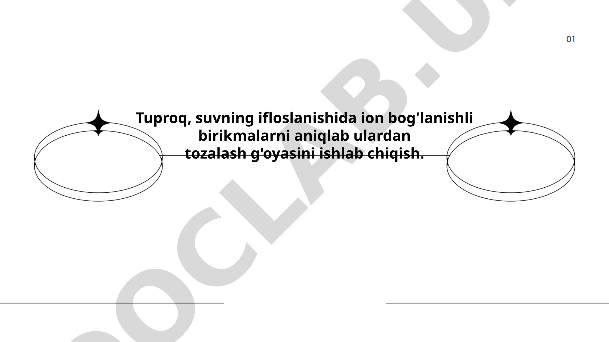 Tuproq va suvning ifloslanishida ion bog'lanishli birikmalarni aniqlab ulardan tozalash g'oyasi