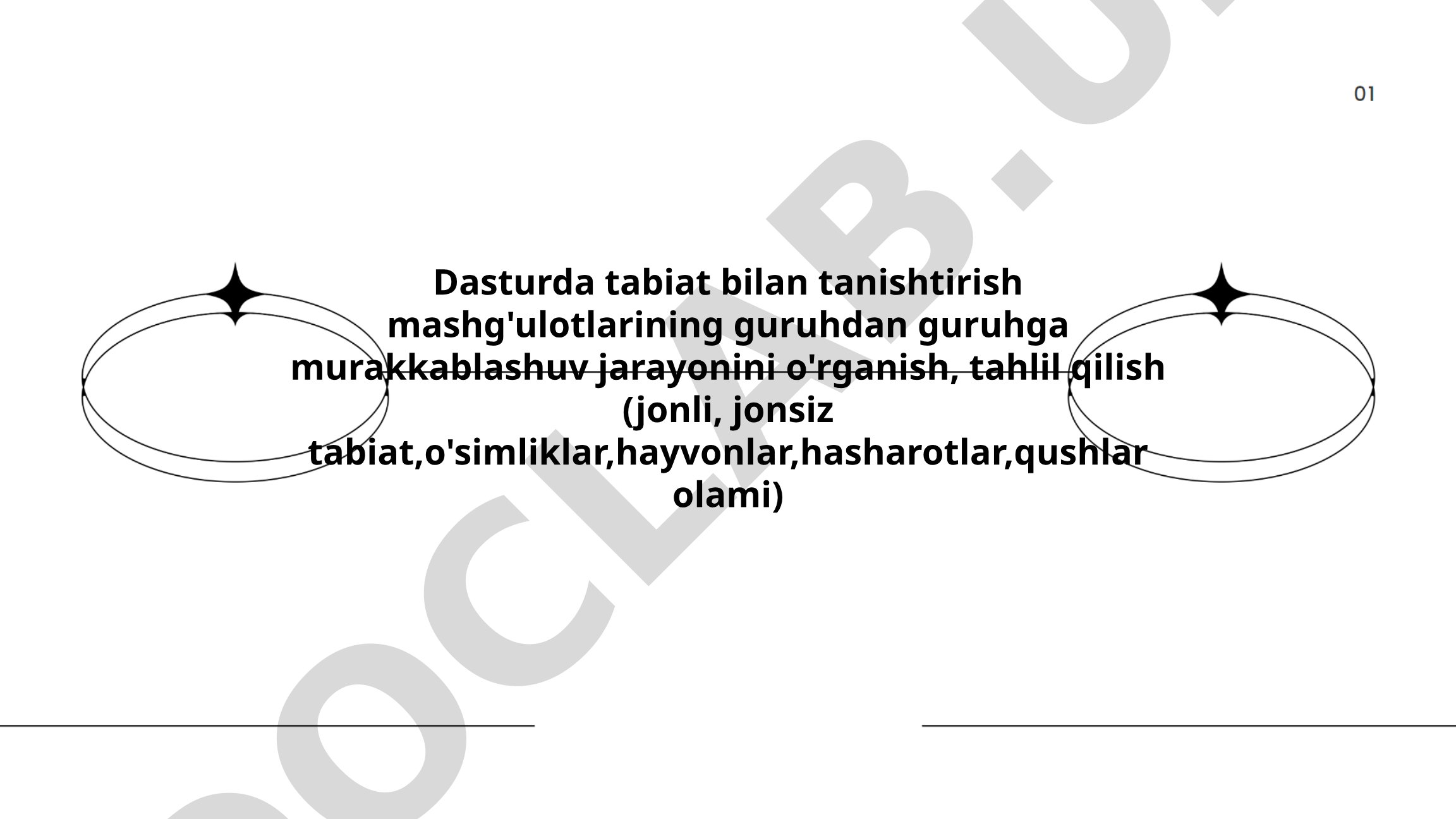Tabiat bilan tanishtirish mashg'ulotlarining guruhdan guruhga murakkablashuv jarayoni